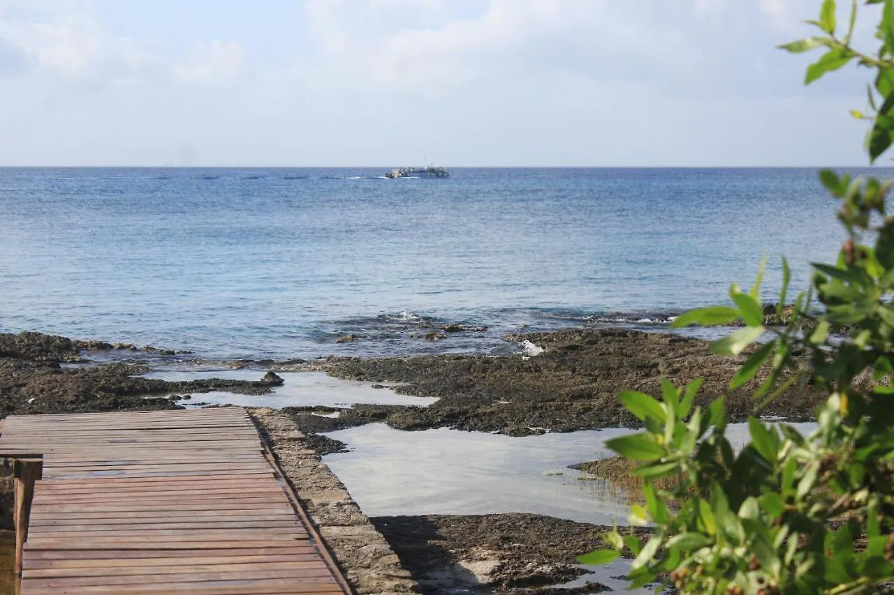 Estudio En Cozumel, Condominio Frente Al Mar Caribe A3 Mexico